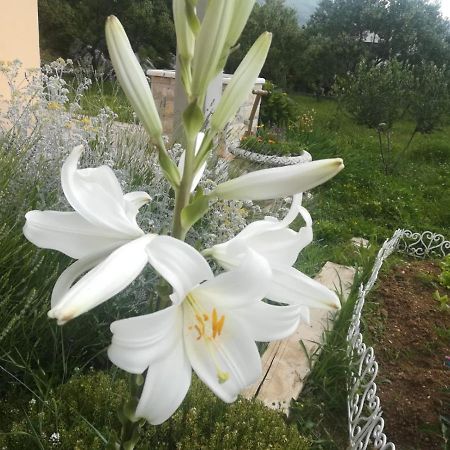 Castello Flower Apartment Kastela Ngoại thất bức ảnh
