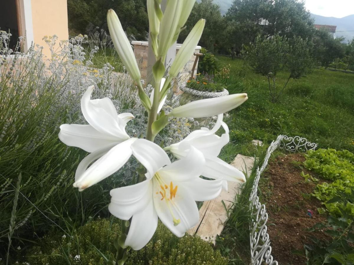 Castello Flower Apartment Kastela Ngoại thất bức ảnh