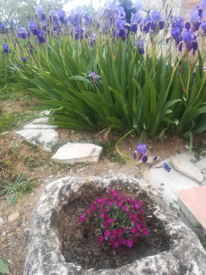 Castello Flower Apartment Kastela Ngoại thất bức ảnh